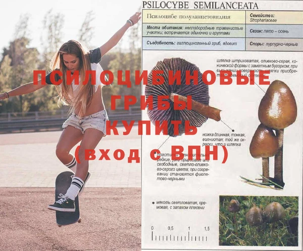 меф VHQ Белоозёрский